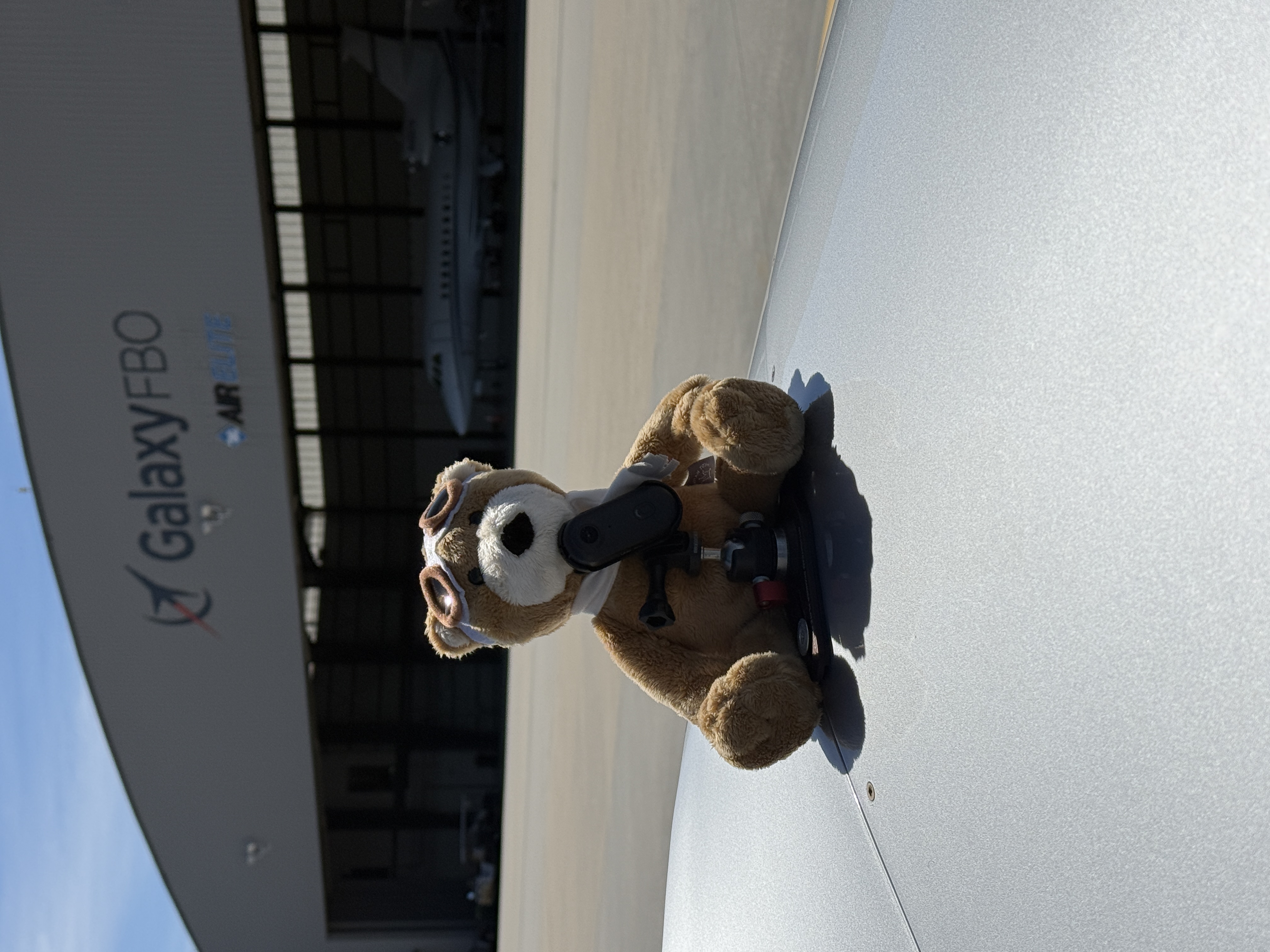 Required Baloo Pose